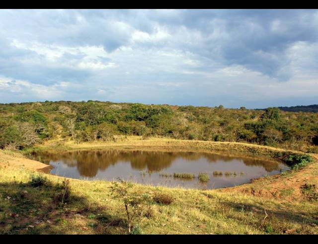 367HA FARM FOR SALE IN KOMGA